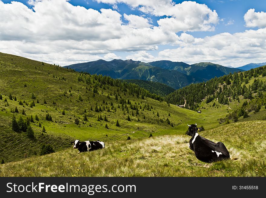 Campiler Mountain, South Tyrol