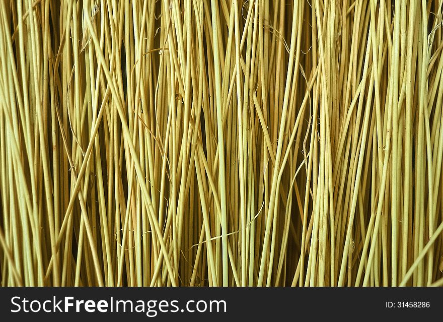 Reeds Background Texture in wide screen format.