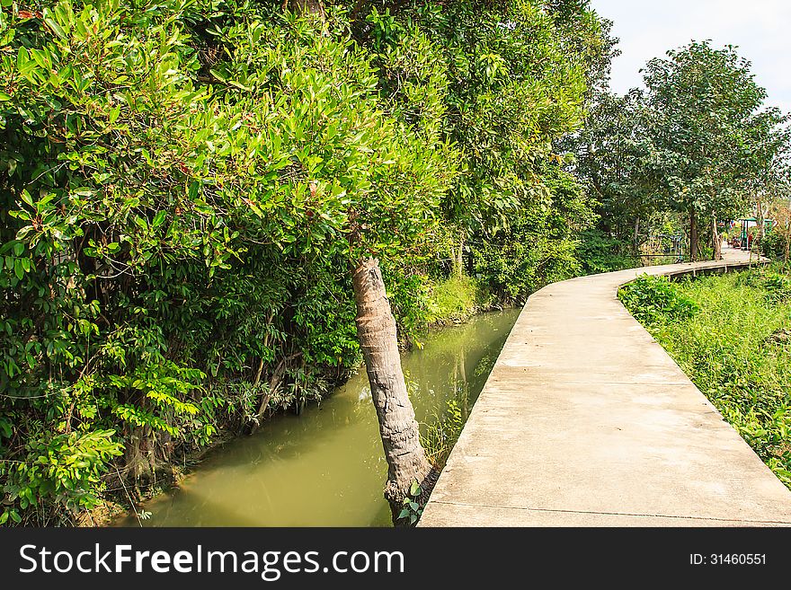 Walkway in waterside community, Nonthaburi Thailand. Walkway in waterside community, Nonthaburi Thailand