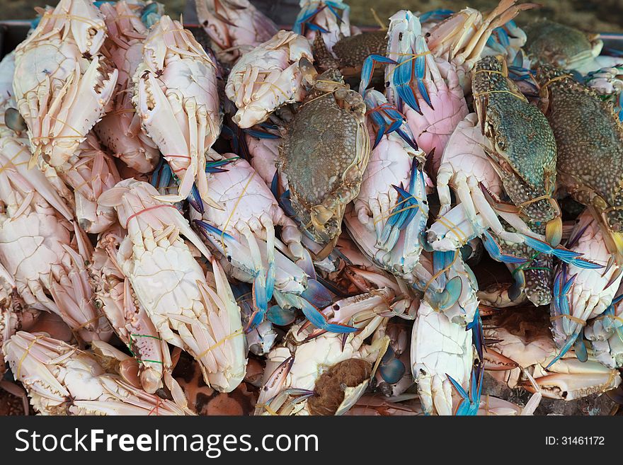 Stack of Fresh blue crab ( flower crab) in Thailand fresh market. Stack of Fresh blue crab ( flower crab) in Thailand fresh market