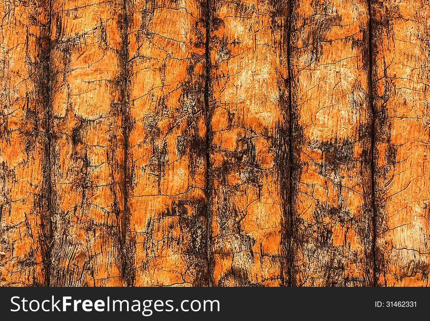 Crack lines and texture on decorative wall