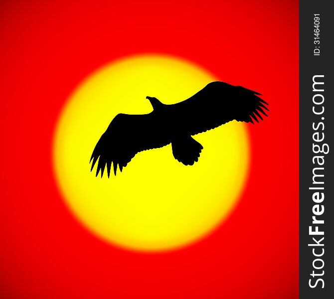 Silhouette of an eagle flying in front of the setting sun