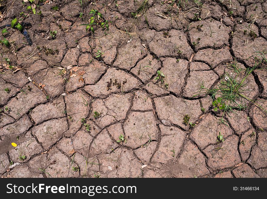 Dehydrated dry soil texture background