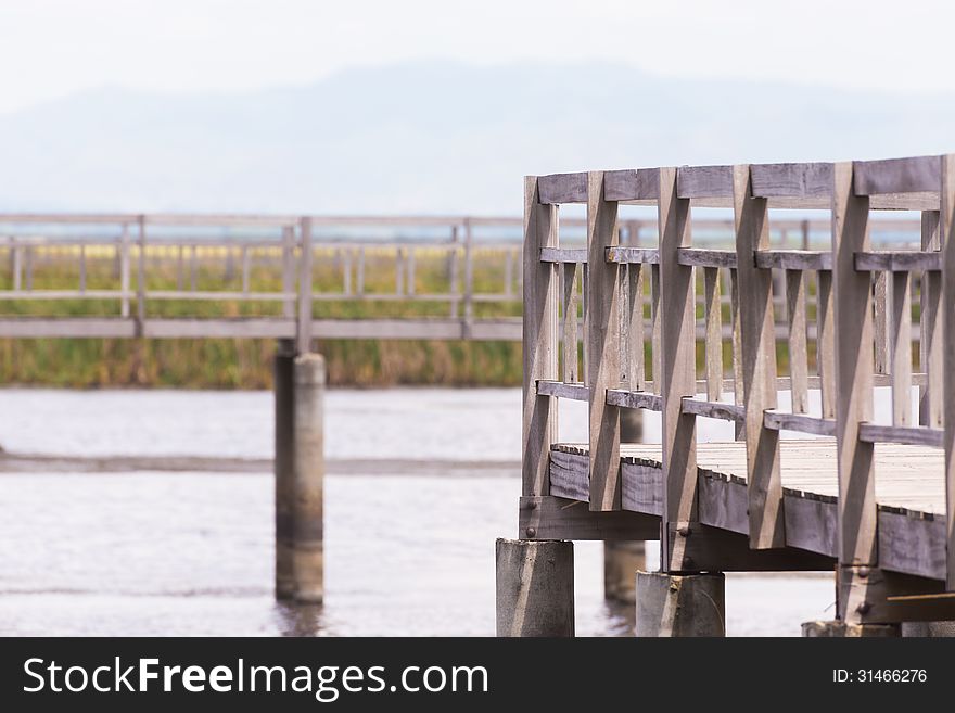 Wooden Fences On Path Way Swamp Field