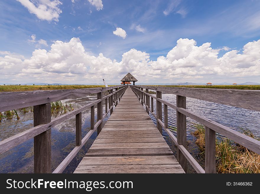 Wooden path way elevated over swamp field ,Thailand