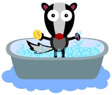 Skunk S Bath Time Royalty Free Stock Image Skunk S Bath Time Royalty Free Stock Image