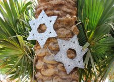 Six-pointed Stars On A Palm Tree Royalty Free Stock Photos Six-pointed Stars On A Palm Tree Royalty Free Stock Photos
