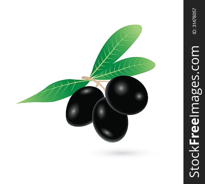 Black olives vector on white background