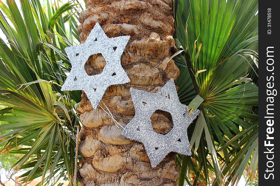 Decorative six-pointed star (Star of David) on a palm tree as an ornament on a holiday of Independence Day of Israel. Decorative six-pointed star (Star of David) on a palm tree as an ornament on a holiday of Independence Day of Israel