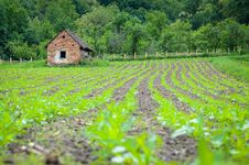 Solitary House Stock Images