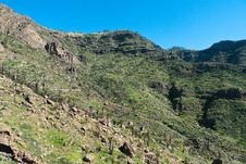 Island Of La Gomera, Terrace Landscape Royalty Free Stock Images