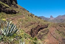 Island Of La Gomera, Palm Valley Stock Photography Island Of La Gomera, Palm Valley Stock Photography