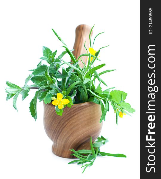 Mortar and pestle, with fresh herbs on a white background. Mortar and pestle, with fresh herbs on a white background