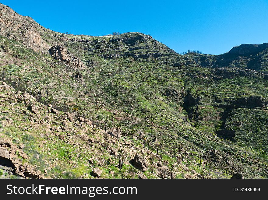 Island of La Gomera, terrace landscape