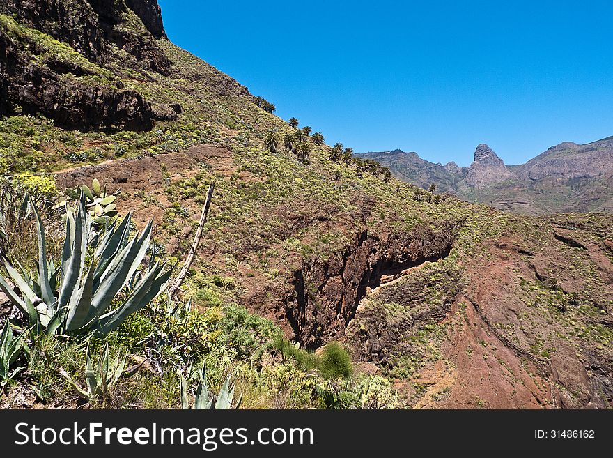 Island of La Gomera, Palm Valley, with view of famous mountain of Roque de Agando, and the Barranco de Guarimiar