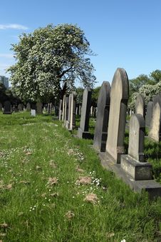 Cemetery Royalty Free Stock Image Cemetery Royalty Free Stock Image