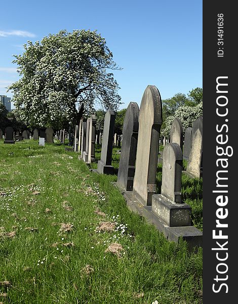 Scene of several graves in a cemetery