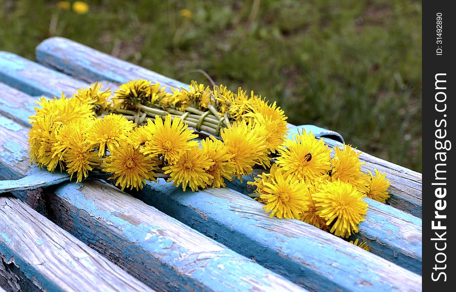 Wreath of yellow dandelions on the old blue bench in the park