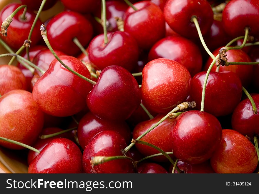 Freshly picked ripe cherries in the country