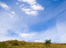 Yellow Field And Blue Sky Stock Photo Yellow Field And Blue Sky Stock Photo