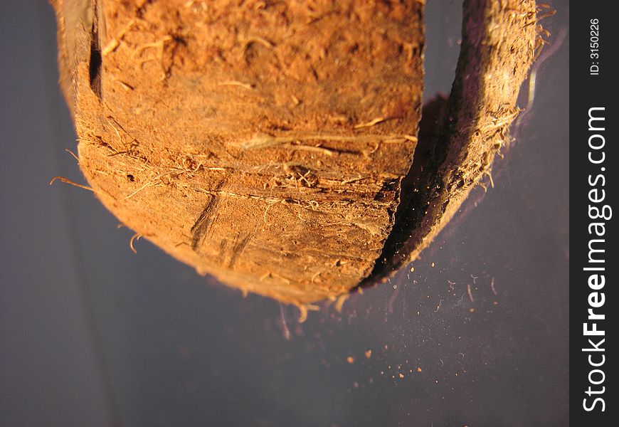 Hairy coconut shell on the grey background. Hairy coconut shell on the grey background.