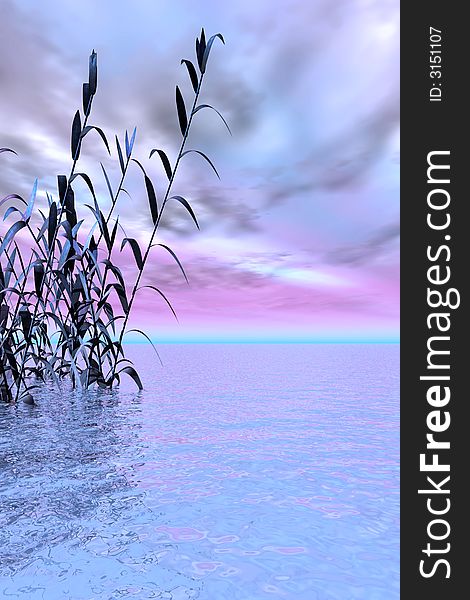 Water plants on a sea sunset  background  -  3D scene. Water plants on a sea sunset  background  -  3D scene.