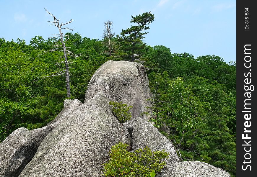 The huge granite grey rock among forest. The form of rock as perking human or elephant. Russian Far East, Primorye. The huge granite grey rock among forest. The form of rock as perking human or elephant. Russian Far East, Primorye.