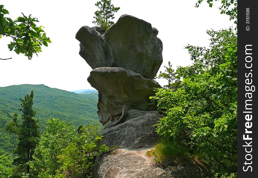 The huge granite grey rock among forest. The form of rock is as huge stone flower. Russian Far East, Primorye. The huge granite grey rock among forest. The form of rock is as huge stone flower. Russian Far East, Primorye.