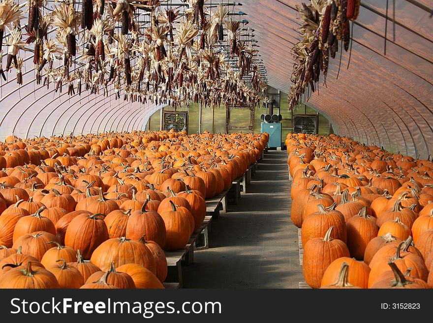 Pumpkin Farm Stand
