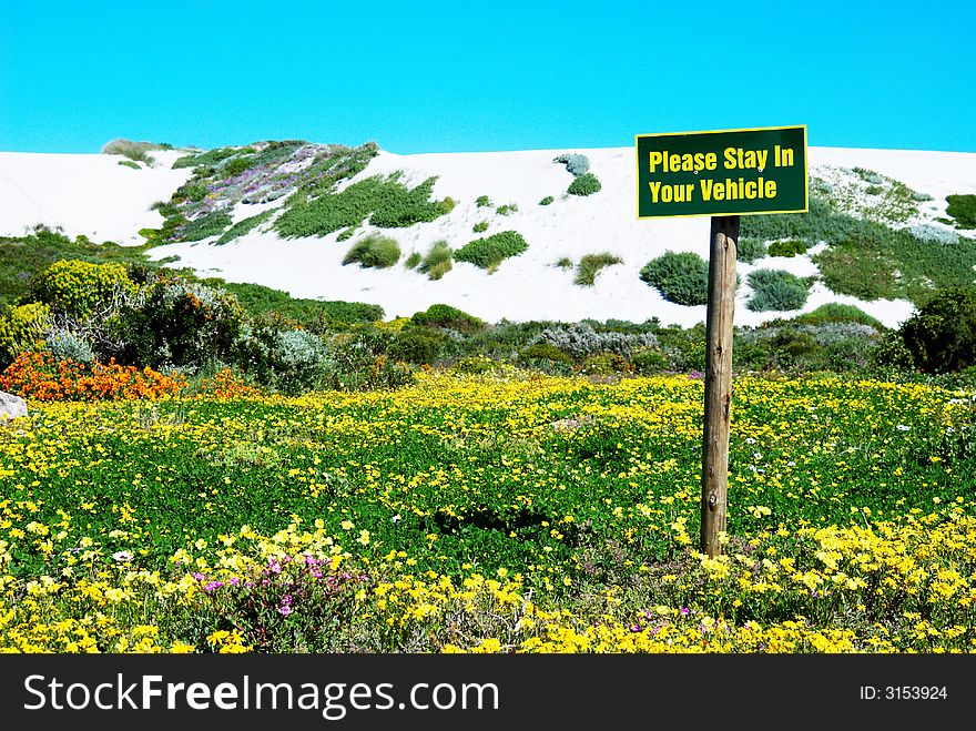 Sign in front of a dune