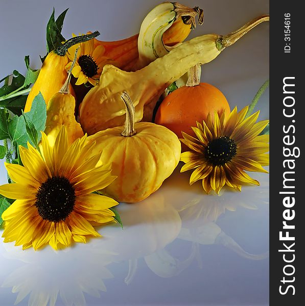 Autumn composition with different kinds of pumpkins and sunflowers. Autumn composition with different kinds of pumpkins and sunflowers