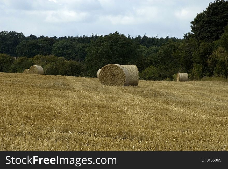 Hay in a field near Helmsley, Yorkshire. Hay in a field near Helmsley, Yorkshire