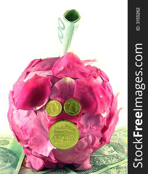 Conceptual abstract: pink pig of money-box on white background