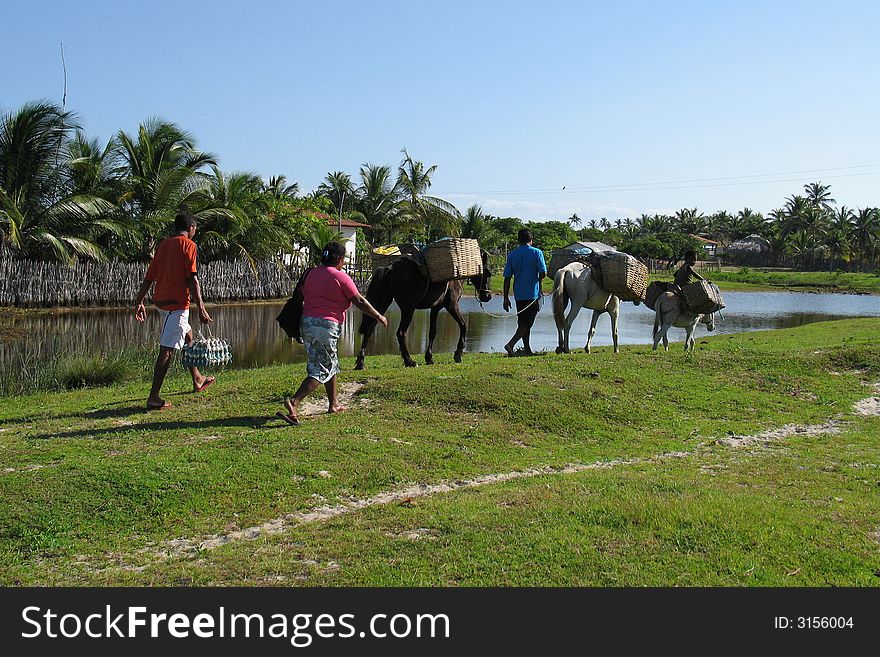 People travelling with horses - National Park of the Lencois Maranhenses - North of Brazil. People travelling with horses - National Park of the Lencois Maranhenses - North of Brazil