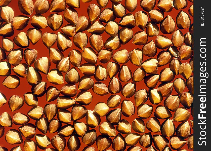 Buckwheat groats on an orange background