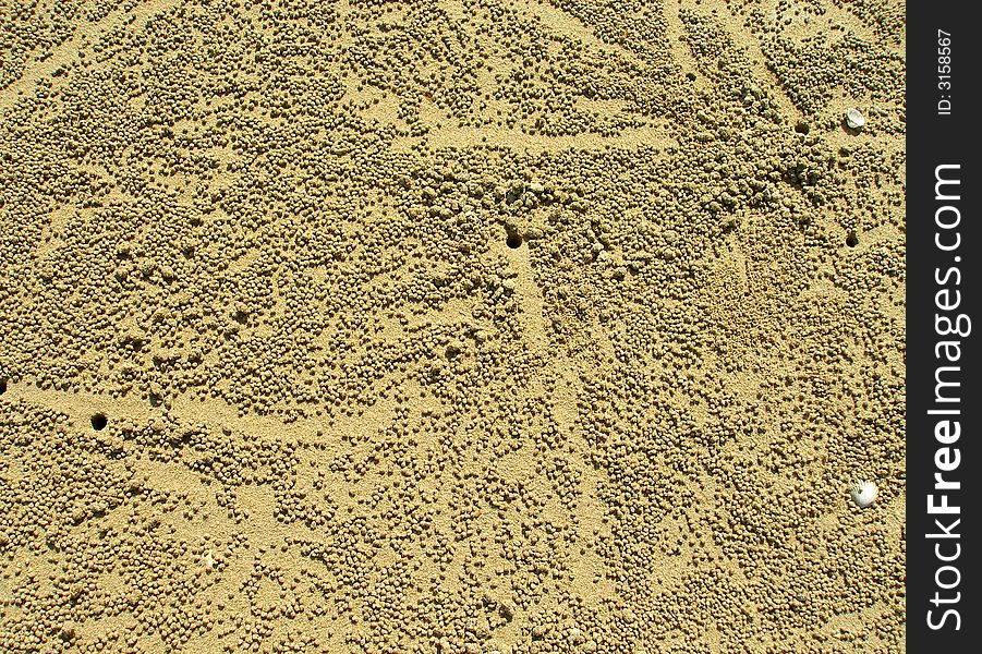 Crab houses and grains on the beach. In every hole lives small baby crab. Granules are made by them and surrounding their homes.Beach in tropical country.