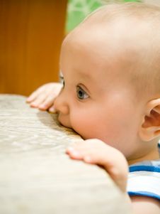 Kid In Profile Royalty Free Stock Images Kid In Profile Royalty Free Stock Images