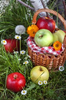 Apples Royalty Free Stock Photography