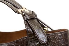 Close-up Brown Fashion Ladies Handbag Crocodile Royalty Free Stock Images