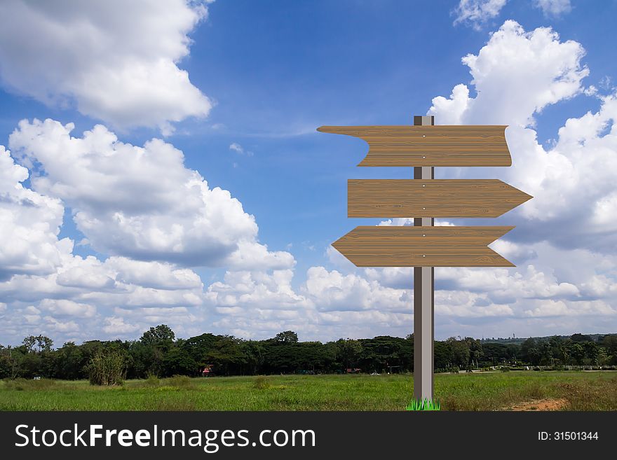 Blank wooden sign in green grass field over blue sky background