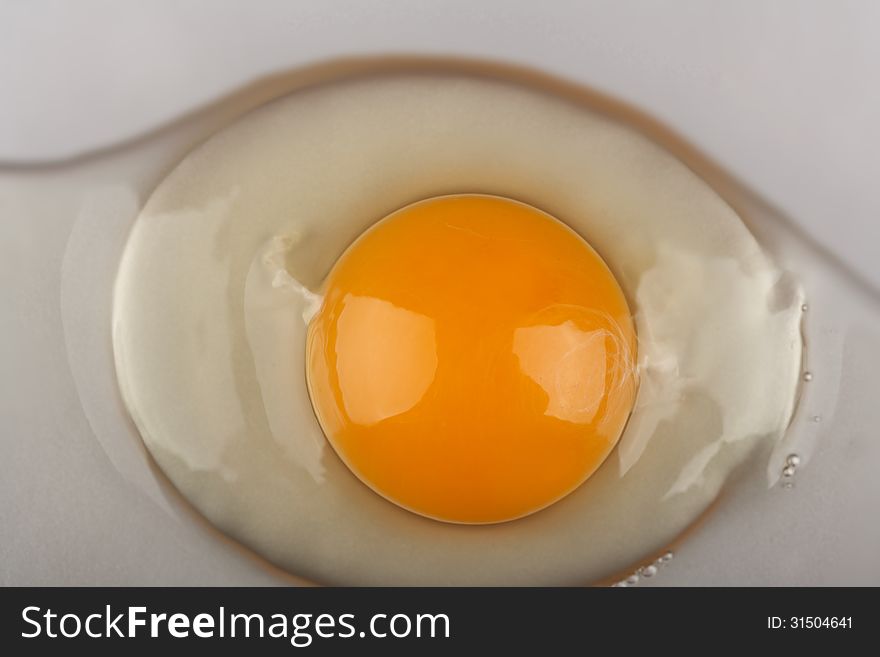 Fresh organic egg yolk closeup