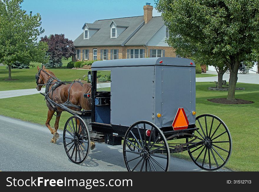 Amish Horse-drawn Carriage