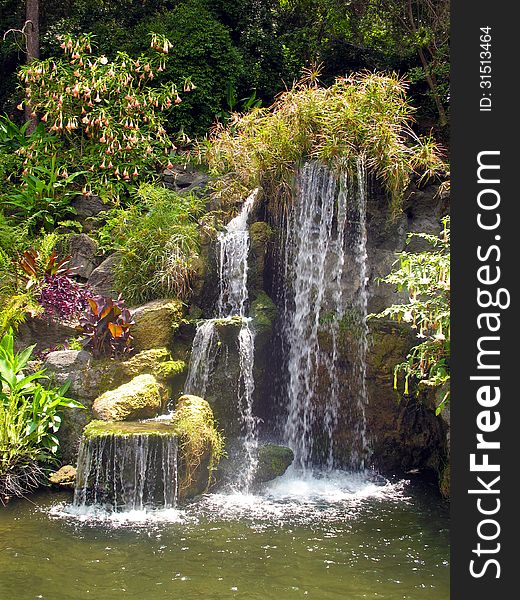 Landscaped Water Fall And Pool With Variety Of Green Plants. Landscaped Water Fall And Pool With Variety Of Green Plants