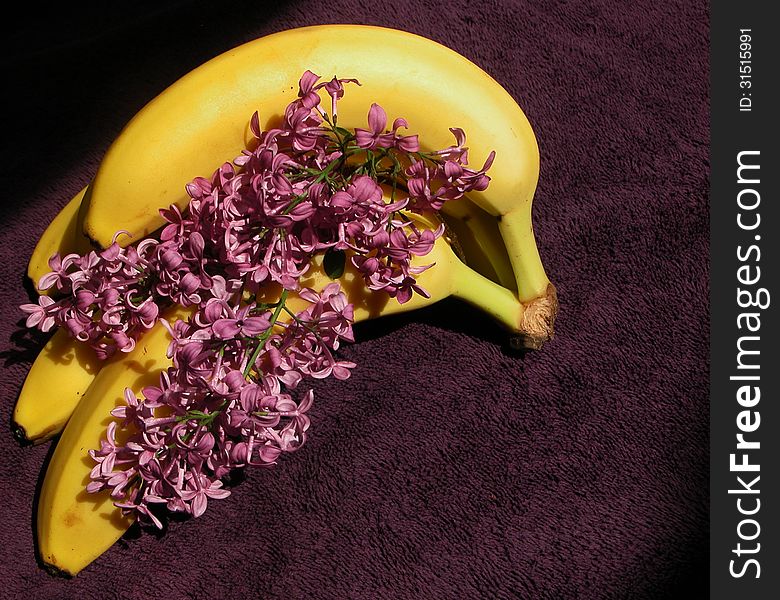 Yellow bananas and purple lilacs combine for a creative still-life display. Yellow bananas and purple lilacs combine for a creative still-life display.