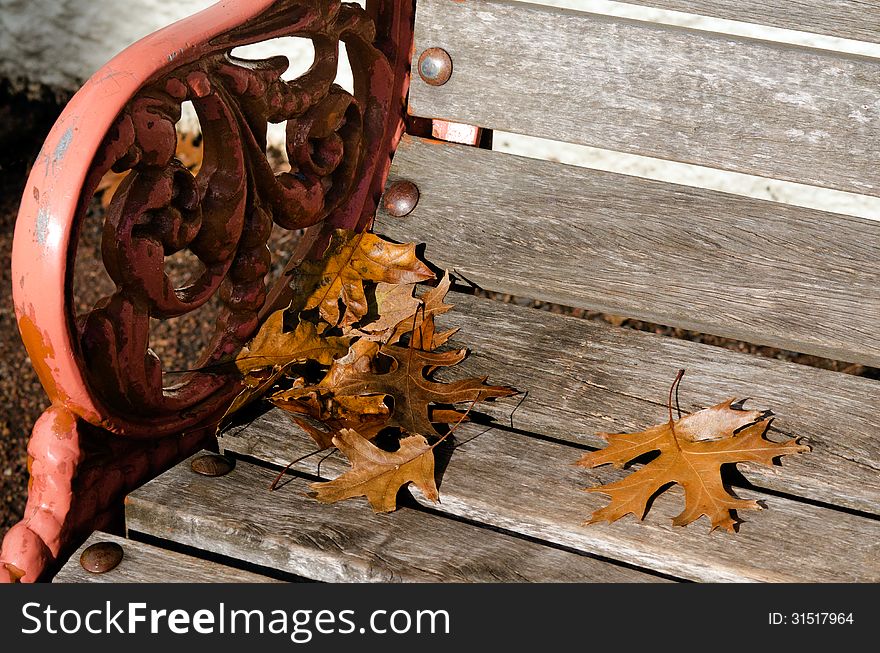 An oak tree leaves on old street bench during the Autumn fall season. An oak tree leaves on old street bench during the Autumn fall season