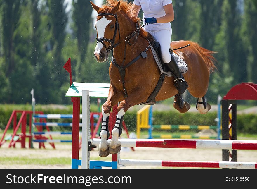 Horse jump a hurdle in competition. Horse jump a hurdle in competition