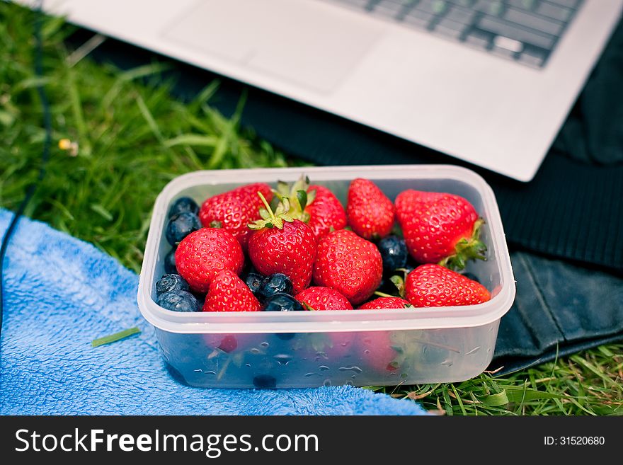 A bowl with ripe strawberries and blueberries on a grass. A bowl with ripe strawberries and blueberries on a grass