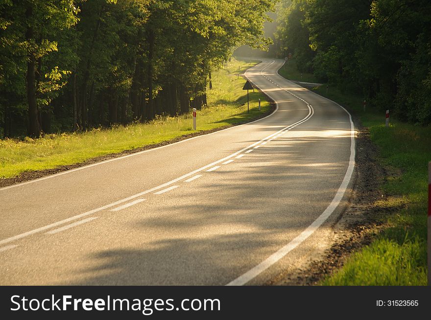 The photograph shows an asphalt road running through the woods. The road climbs the slight rise. The photograph shows an asphalt road running through the woods. The road climbs the slight rise.