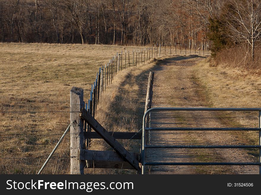 Fence row with a gate. Fence row with a gate.