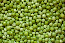 Fresh Peas Stock Photography Fresh Peas Stock Photography